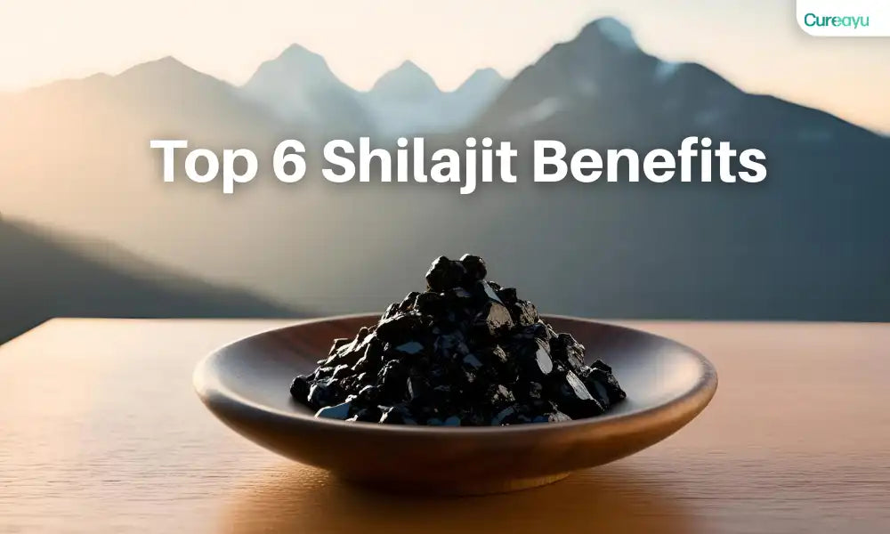What Are Top 6 Shilajit Benefits?