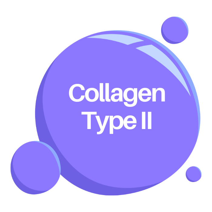 Collagen Type II