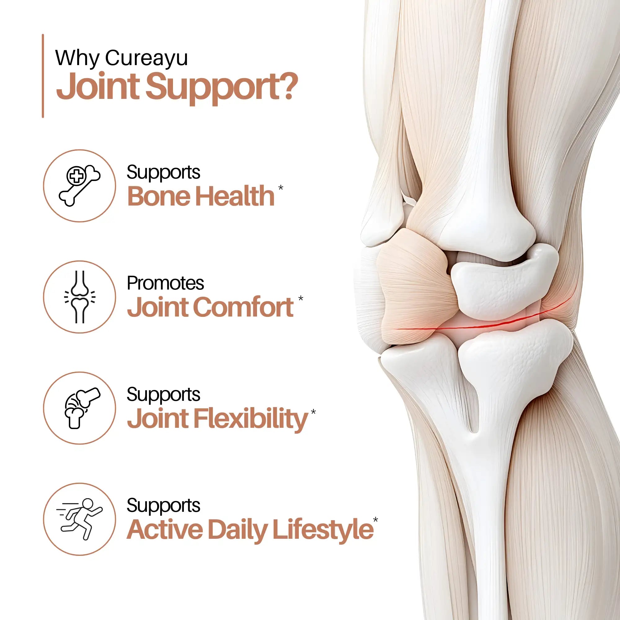 Joint Support Tablets | Bone & Joint Health Supplement | Supports Joint Strength, Mobility & Flexibility | 2 Tablets daily