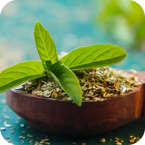 Tulsi