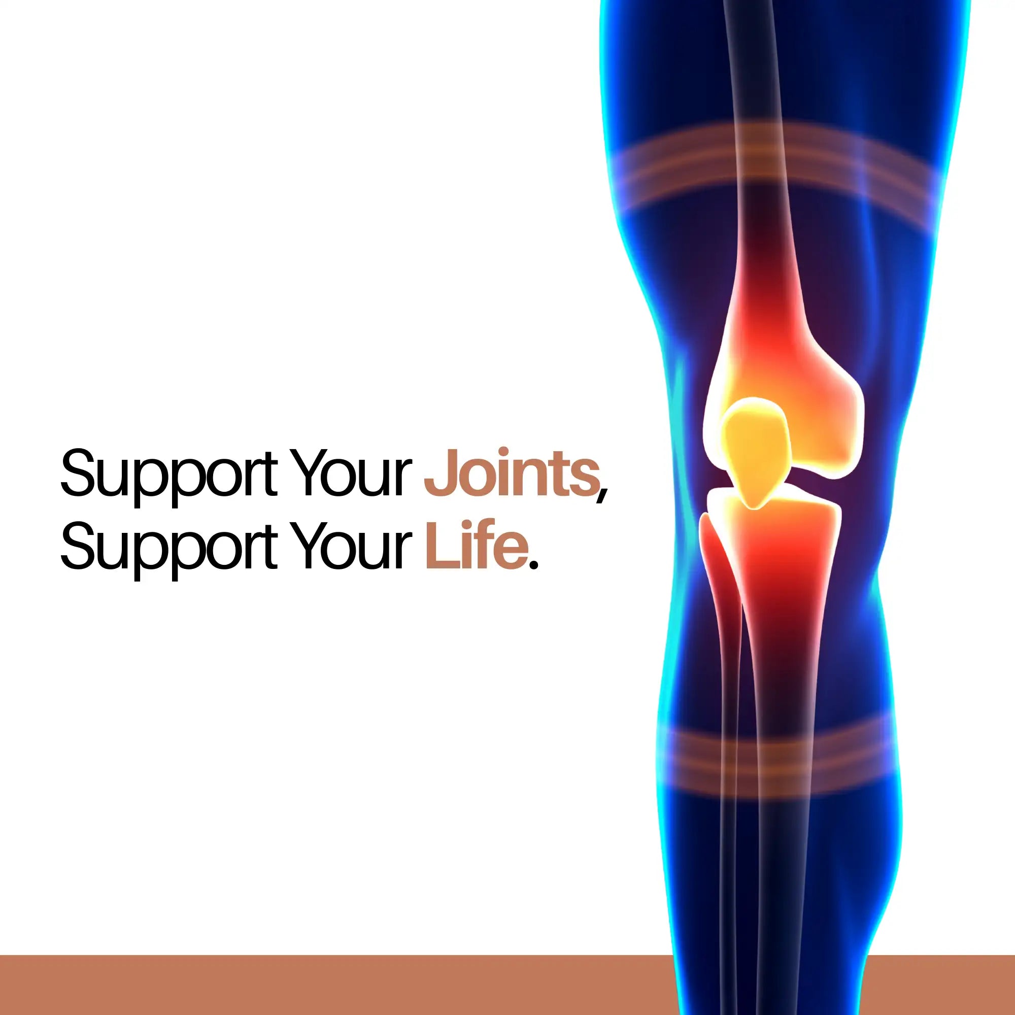 Joint Support Tablets | Bone & Joint Health Supplement | Supports Joint Strength, Mobility & Flexibility | 2 Tablets daily